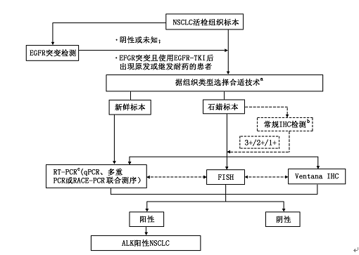 中国alk阳性nsclc患者诊断流程图